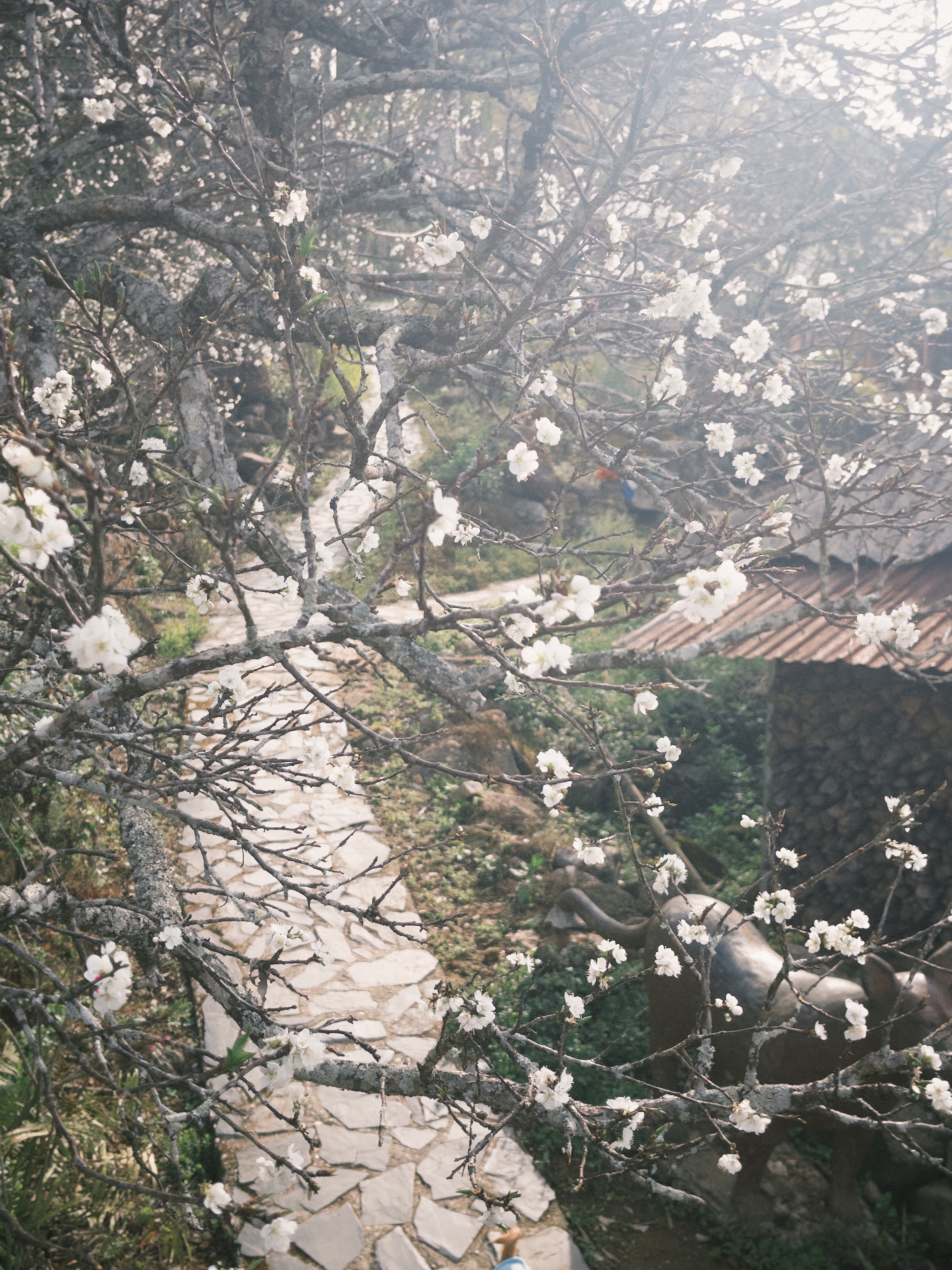 EXPERIENCES ACTIVITIES